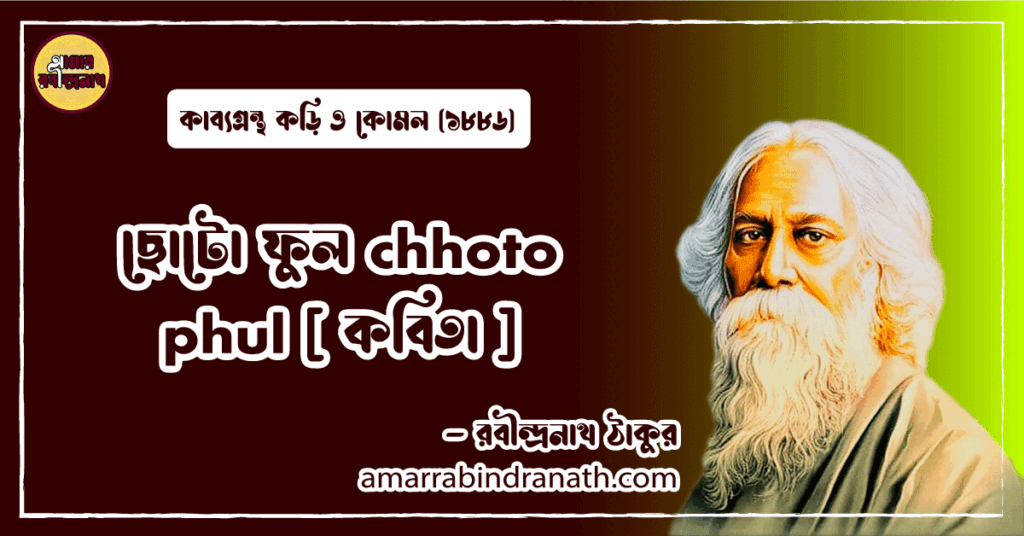 ছোটো ফুল chhoto phul [ কবিতা ] রবীন্দ্রনাথ ঠাকুর
