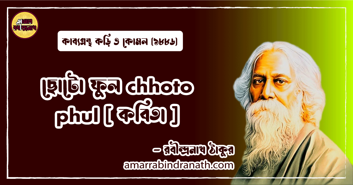 ছোটো ফুল chhoto phul [ কবিতা ] রবীন্দ্রনাথ ঠাকুর