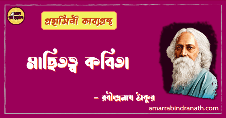 মাছিতত্ত্ব কবিতা | machhitotwo kobita | প্রহাসিনী কাব্যগ্রন্থ | রবীন্দ্রনাথ ঠাকুর